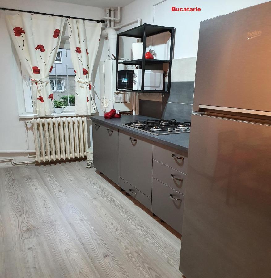 Mia Central Apart, 3 Rooms, 2 Baths, Afi Mall Брашов Екстер'єр фото