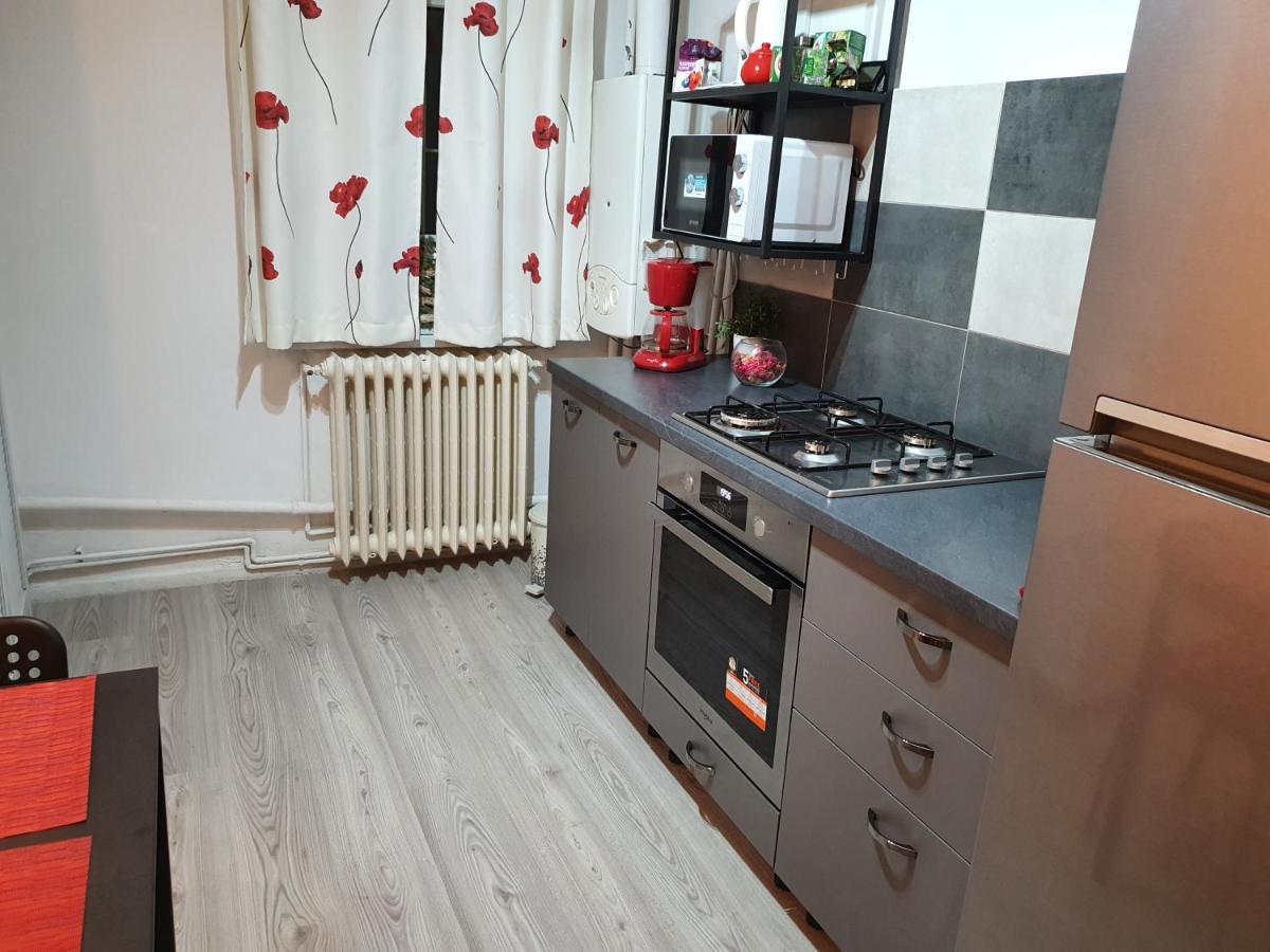 Mia Central Apart, 3 Rooms, 2 Baths, Afi Mall Брашов Екстер'єр фото